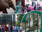 الزراعة: حدائق الحيوان تستقبل 40 ألف زائر فى أول أيام عيد الأضحى