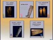 "أنت من تختار".. متحف ملوى يعرض 5 قطع أثرية للجمهور للتصويت عليها