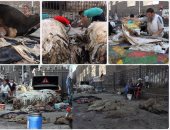 7 إجراءات للبيئة لرصد مخلفات الأضاحى وحرائق مقالب القمامة خلال أيام العيد