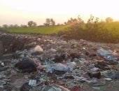 قارئ يشكو تراكم القمامة بمدخل قرية ميت عدلان فى الدقهلية