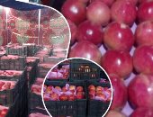 الرمان مقابل السلاح فى أسيوط.. "البدارى" الأعلى تصديراً للمحصول والأكبر استيراداً للأسلحة.. موسم حصاده هو موعد تصفية الخلافات الثأرية وإزهاق الأرواح.. الأهالى يبيعون المحصول ويشترون أسلحتهم