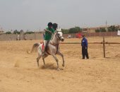 10 معلومات عن مهرجان الخيول العربية الأصيلة بأرض الفروسية بـ"بلبيس"