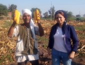 بالفيديو.. فلاحو الشرقية فى عيدهم "عايزين الكيماوى وأسعار محاصيل تناسب التكاليف"