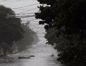الظلام يعم فلوريدا.. انقطاع الكهرباء عن 4 ملايين منزل بسبب الإعصار إرما