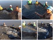 فيديو.. مشروع "غليون" للاستزراع السمكى حلم مصرى يصل للعالمية