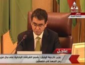بالفيديو.. وزير خارجية اليابان: عازمون على القيام بدور أكبر فى المنطقة العربية