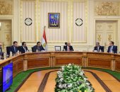 مجلس الوزراء ينقل أصول وخصوم محطات الخطة العاجلة إلى شركات "كهرباء مصر"