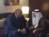 شكرى وقرقاش يبحثان مستجدات أزمة قطر.. ويؤكدان تكثيف جهود مكافحة الإرهاب