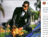 محمد رمضان ينشر صورة بصحبة أسد ويعلق: الشجاعة والقوة أحب الصفات لقلبى