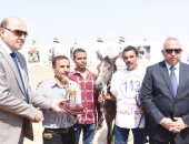 محافظ الشرقية يوزع دروع التميز على الفائزين فى مسابقة مهرجان الخيول العربية