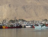 نقيب الصيادين: وقف الصيد بخليج السويس والبحر الأحمر اليوم لتنمية الثروة السمكية