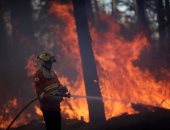 السيطرة على حريق هائل بمزرعة نخيل بوادى النطرون