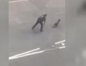 شرطة بريطانيا تطلق الكلاب البوليسية بشارع ليفربول بحثاً عن متفجرات