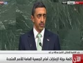 وزير الخارجية الإماراتى: يؤسفنا ما تقوم به بعض الدول من الترويج للإرهاب