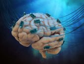 علماء يطورون جهاز كمبيوتر يحاكى العقل البشرى