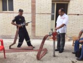 بالصور.. دورة لعاملى الحكومة والقطاع الخاصة بكفر الشيخ على الإطفاء 