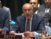 سفير مصر بمجلس الأمن يطالب ميانيمار بوقف فورى للأعمال العسكرية ضد الروهينجا