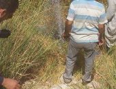 بالصور.. شركة مياه الأقصر تبدأ خطة غسيل الشبكات بمدينة إسنا