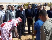 بالصور.. وزيرا الرى والزراعة يدشنان مبادرة "ازرع نخلة" بمنطقة مطار الخارجة