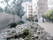 قارئ يشكو من قطع الأشجار فى مدينة فاقوس الشرقية