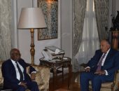سامح شكرى يبحث مع وزير خارجية تشاد جهود مكافحة الإرهاب والهجرة غير الشرعية