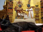 صحيفة إيطالية: مصر تضم أقدم مقبرة حيوانات تعود لعام 150 قبل الميلاد