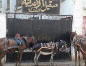 حمير وأحصنة تحاصر مدرسة صقيل الابتدائية المشتركة بأوسيم