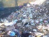 بالصور.. شكوى من انتشار القمامة بمياه النيل فى قرية قلندول بالمنيا