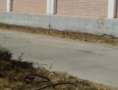 بالصور.. كابلات كهربائية وأسلاك مكشوفة بجوار مدرسة تهدد حياة التلاميذ بدمياط