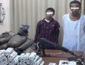 بالصور.. الداخلية تزلزل مملكة الكيف وتضبط كبار تجار المخدرات بالمحافظات