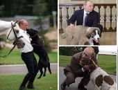 15 صورة تكشف عشق "بوتين" للكلاب.. الرئيس الروسى يُقبّل كلبا أهداه له رئيس تركمانستان فى عيد ميلاده الـ65.. يمتلك 4 أشهرها "كونى" المقيم فى الكرملين.. ورئيس وزراء اليابان يهديه واحدا بمناسبة فوزه بولاية ثانية
