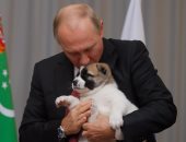 "بوتين بيحب الكلاب"..بالصور.. الرئيس الروسى يُقبل كلبا هدية من رئيس تركمانستان