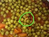 صور..ديدان بأحد وجبات المدينة الجامعية بالمنوفية ورئيس الجامعة يشكل لجنة للتحقيق