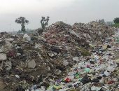 امسك مخالفة.. القمامة والحيوانات الضالة تحاصر مدرسة بالقليوبية