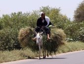 صورة اليوم.. مشوار اسمه حياة