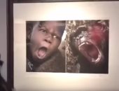 اتهامات لمعرض صينى بالعنصرية لنشره صور تقارن الأفارقة بالحيوانات