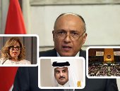 وزير الخارجية: لم يكن بإمكان مصر ترك ساحة "اليونسكو" خالية لمرشح قطرى.. وضعنا معايير لاختيار ممثل مصر وانطبقت على مشيرة خطاب.. ودعمنا "أزولاى" فى السباق لشعورنا بأن الدوحة لا تمثل العرب