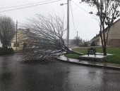 انقطاع الكهرباء عن مدينة غرب أيرلندا بسبب العاصفة إلينور 