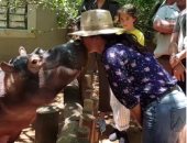 سلمى حايك تقبل "فرس النهر ".. شاهد الفيديو