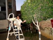 بالصور.. مدير مدرسة يتقمص دور الجناينى ويقلم أشجارها فى طنطا