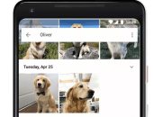 تطبيق Google Photos يمكنه الآن التعرف على الحيوانات داخل الصور