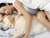 دراسة تحذر.. النوم بجوار الحيوانات الأليفة يسبب مشاكل صحية