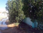 بالفيديو والصور.. تسرب المياه وغرق الشوارع بإحدى قرى الداخلة