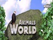 اعرف معلومات أكتر عن "الترسة" فى حلقة جيدة من برنامج "world Animals" على فارولاند