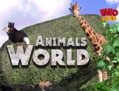 شاهد حكاية الطاووس فى حلقة جديدة من برنامج "Animals world" على فارولاند