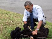 اللعب مع الحيوانات والاحتفال بالهالوين.. حياة "أوباما" على المعاش فى 7 صور