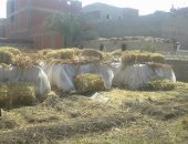 تسليم ٧٣ معدة وفتح ٢٩ موقع تجمع لمواجهة حرق الأرز بكفر الشيخ