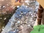 مساكن أبو شاهين فى المحلة الكبرى لا تصلح للسكن الآدمى