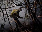 بالصور.. البرازيل تواصل إخماد حرائق الغابات بعد تدمير 35 ألف هكتار