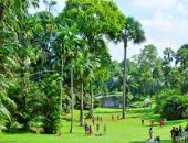 الحدائق الوطنية فى سنغافورة تفوز بجائزة اليونسكو - السلطان قابوس